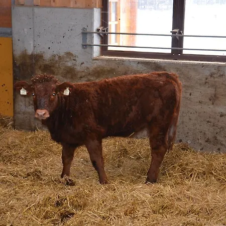 Scheibenhof バードガシュタイン