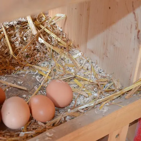Scheibenhof Alojamento de Turismo Rural Bad Gastein