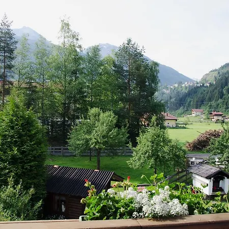 Scheibenhof *