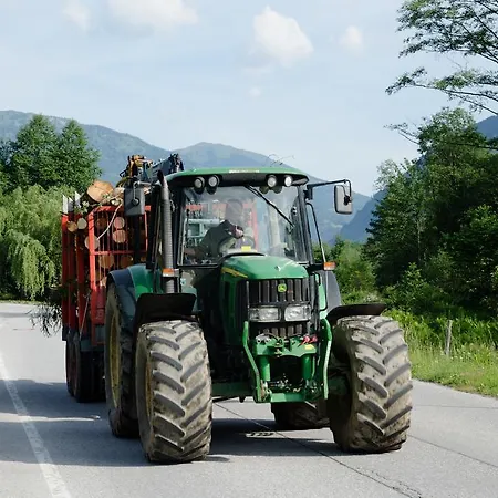 Scheibenhof Farmház *